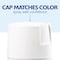 Rust-Oleum® Painter's Touch® 2X Ultra Matte Paint & Primer Spray